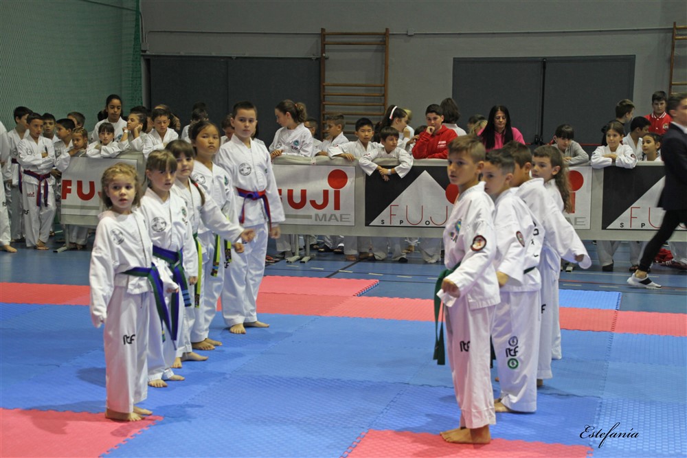 Copa Seul 2018 (329).jpg